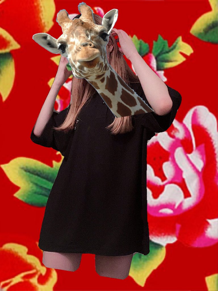 4242564c's tweet photo. kawaii🦒 #KILMINA https://t.co/u2Ftj6EHMY