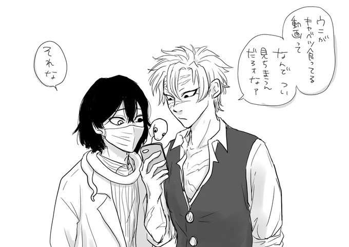 数ヶ月に一度は見てる気がする…