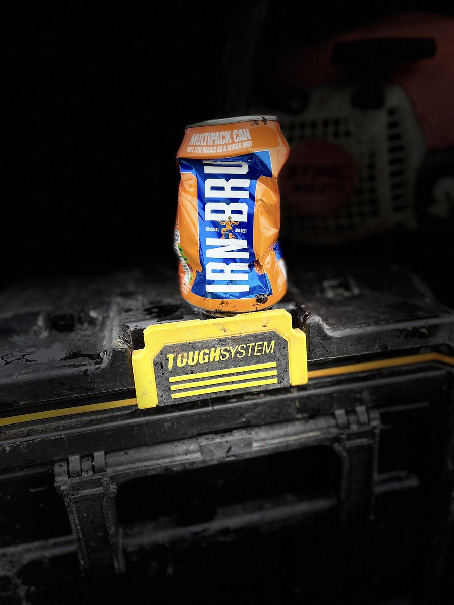 Timbercreate's tweet image. When in Rome……… @irnbru