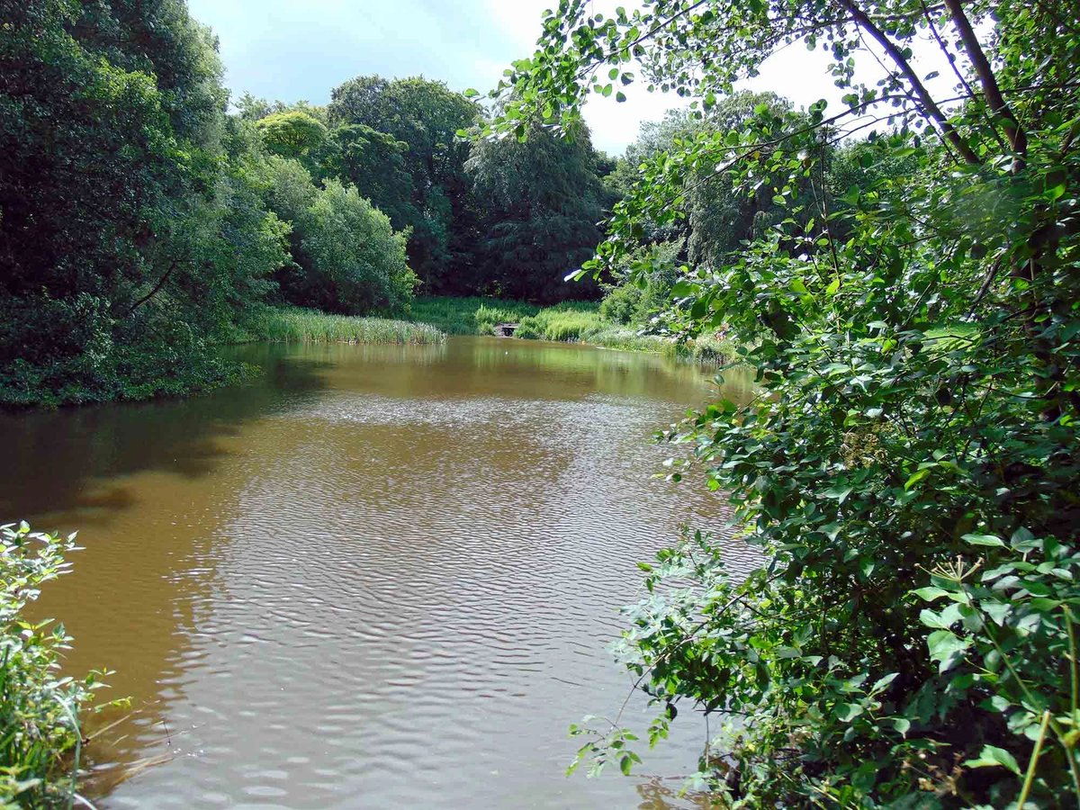 AnglingHall's tweet photo. I am very pleased to announce that Shotton Hall Angling Club is now totally FULL!

I've had some wonderful reports of catches over the past few weeks.

There will now be a waiting list for 2024. https://t.co/uYkHXydK2u