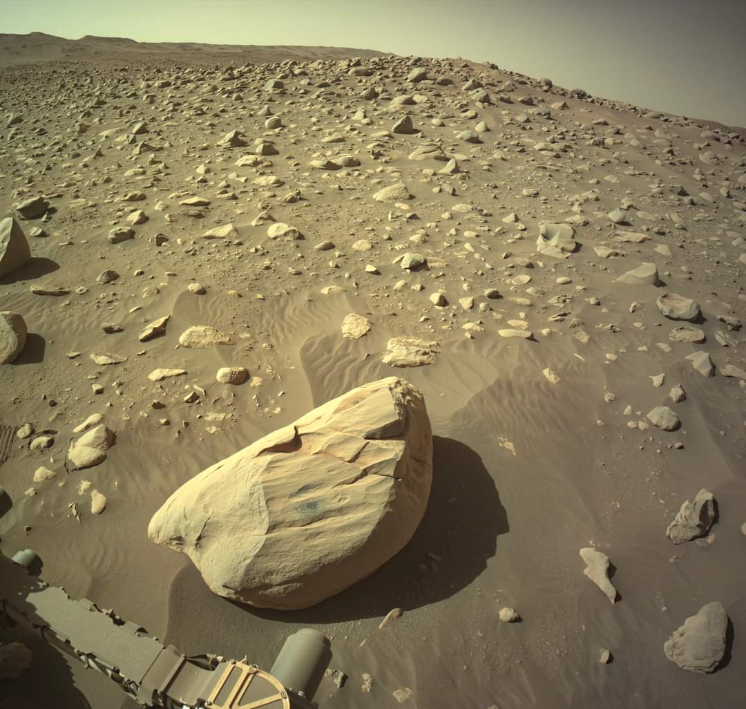 MAstronomers's tweet image. A view of #Mars - taken earlier today by @NASA  Perseverance  rover