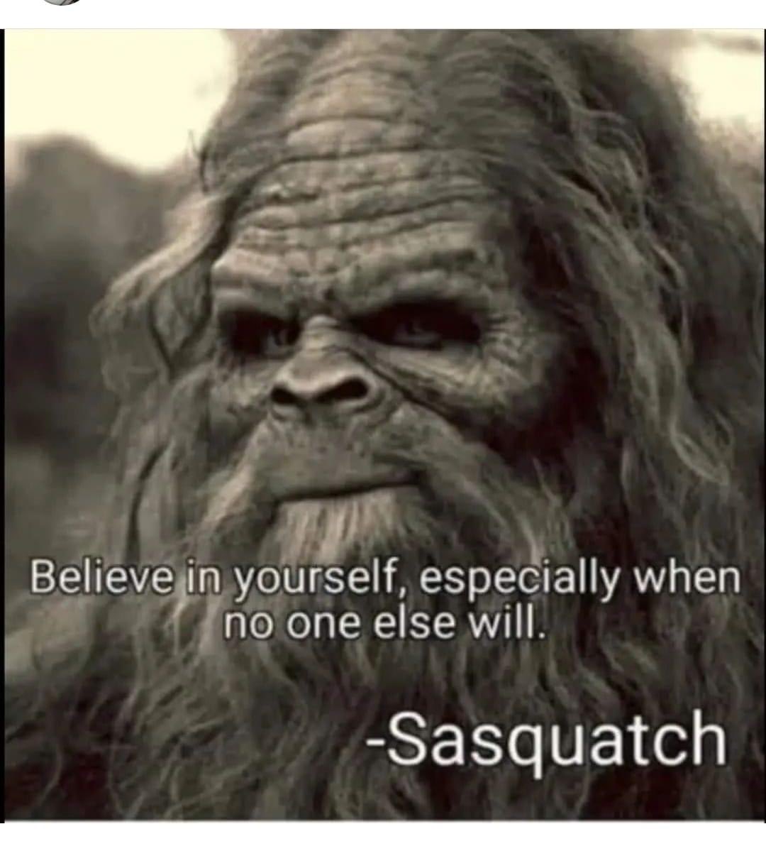 #deepthoughts #Sasquatch