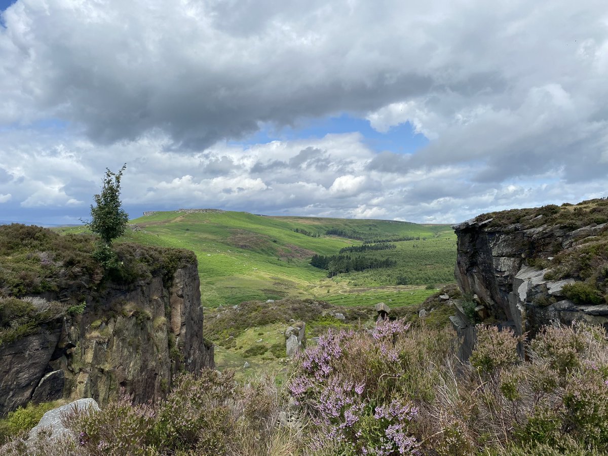 sujculture's tweet image. Why lies it idle, this beautiful stone? /Ho, for the pickaxe! One by one /Hew out these blocks — here is work undone
🥾⛰️#HiggerTor #CarlWark #BurbageRocks ⛰️#PeakDistrict #DarkPeak @peakdistrict @PeakDistrictNT @vpdd 🗺️#Hathersage ℹ️ visitpeakdistrict.com/trails/higger-… 🥧@catapultmark