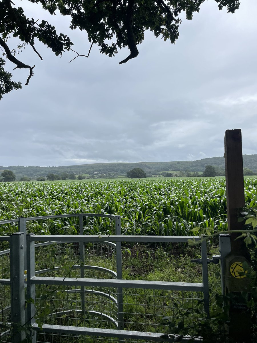 Andrew Sincock 〓〓 tweet media