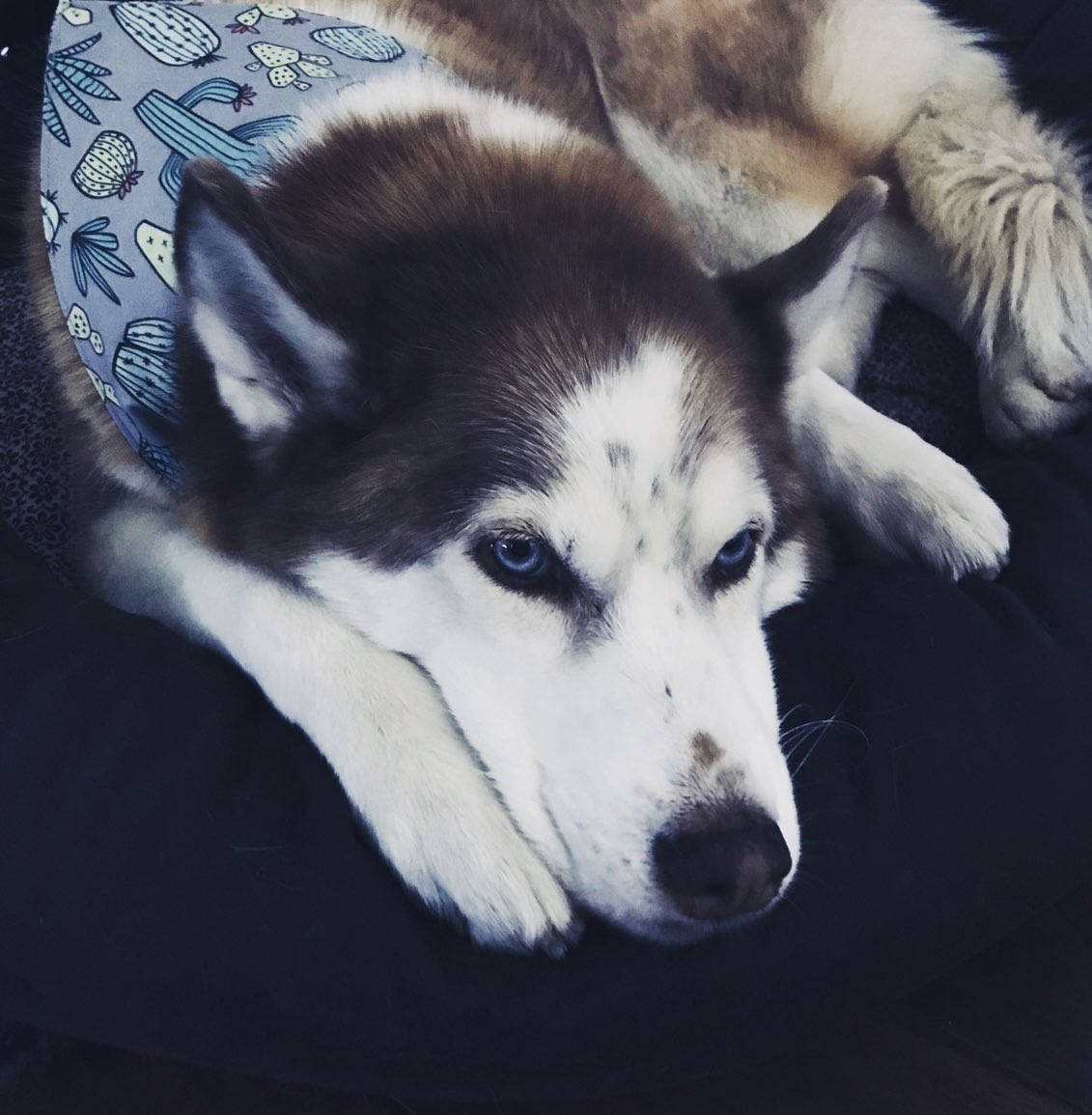 Janet Varney 🏳️🌈 tweet media