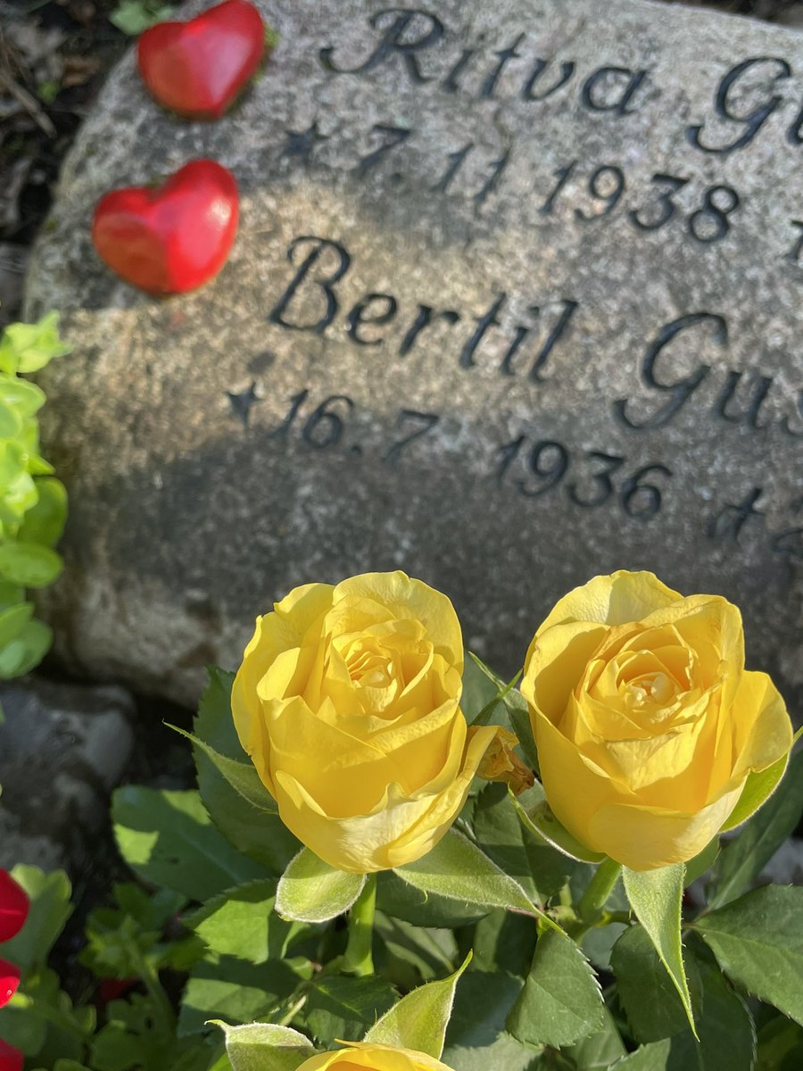 L69's tweet image. Den 16 juli dricker vi alltid GT ❤️ 
För att hylla och fira pappa, svärfar och morfar på det som var hans födelsedag 🎁
Så grattis pappa, den här är för dig ❤️🌟#pappa