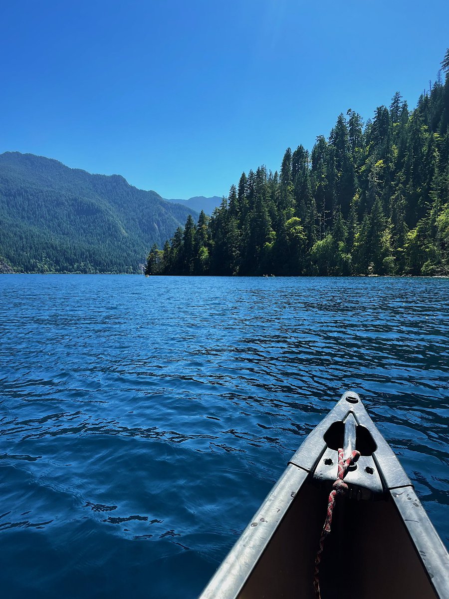 mountainpilled's tweet photo. Olympic National Park has so much earth in one place 🌲💛 one of my favorites now https://t.co/L7KxeAZuWA