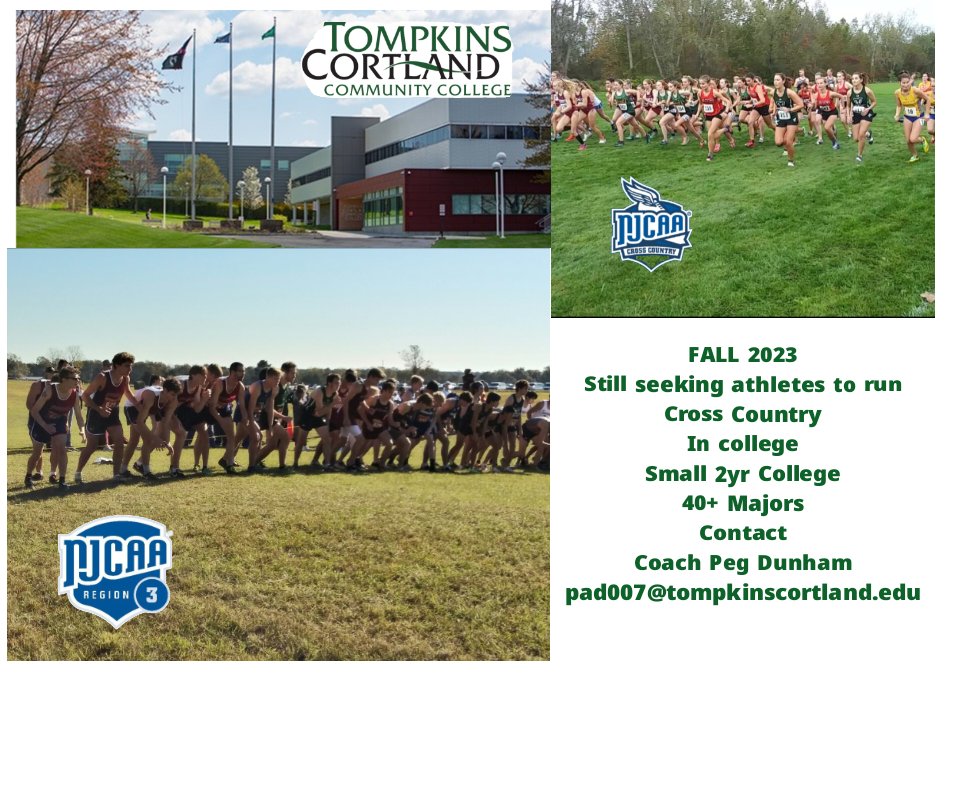 TC3 Panthers Cross Country tweet media