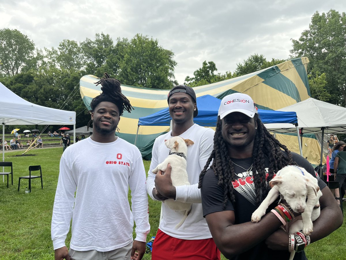 Cohesion Foundation tweet media