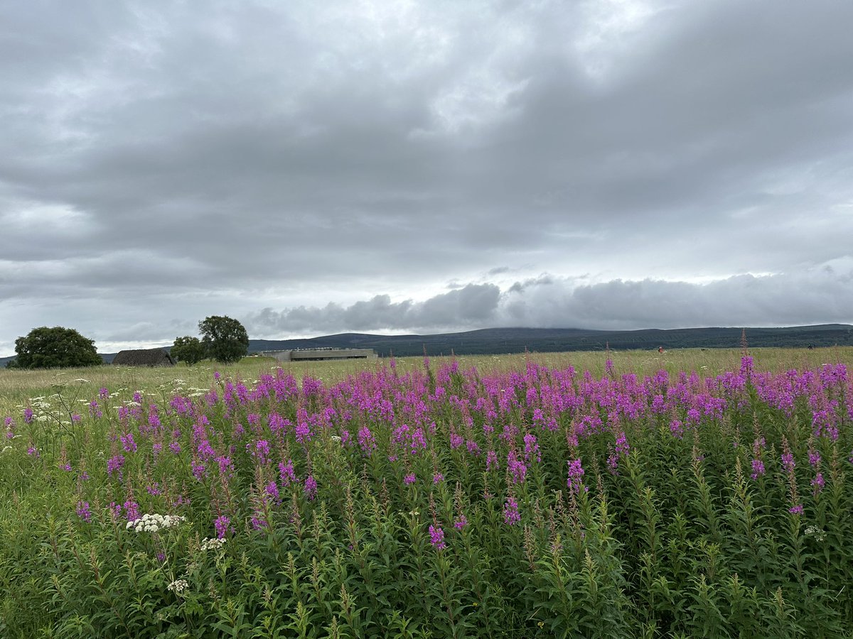 Few more from Culloden.