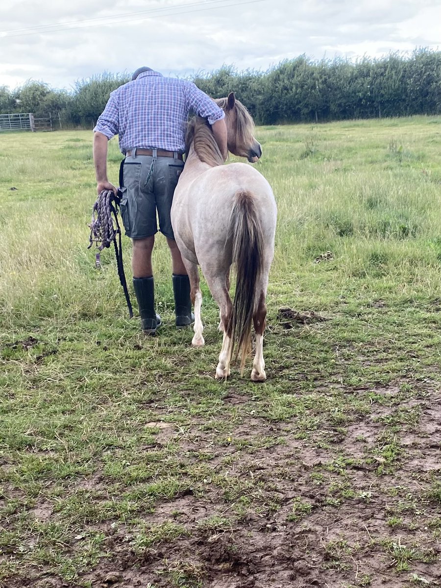 Katie Mander tweet media