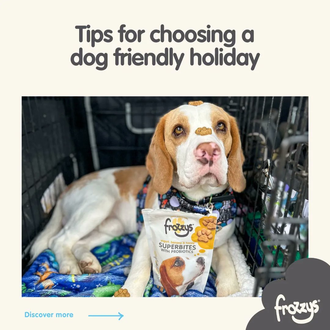 Frozzys for Dogs tweet media
