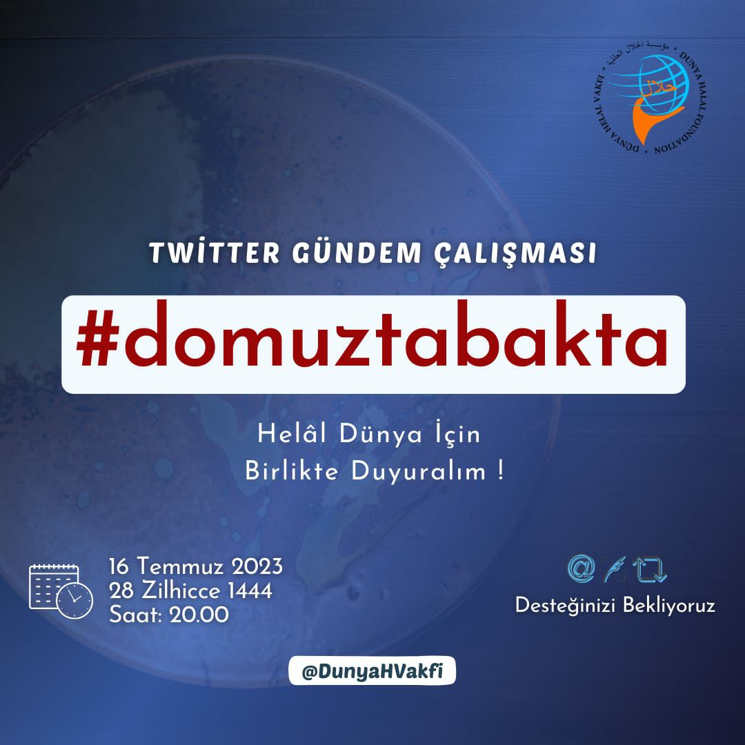 #domuztabakta #gimdes #helalgıda