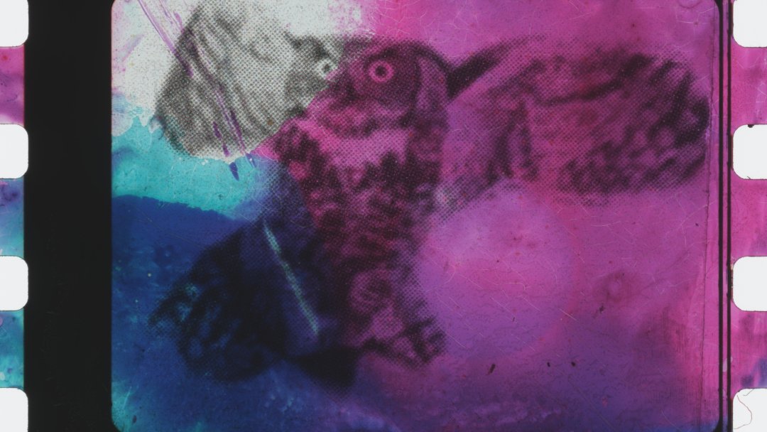 FrameDiscreet's tweet image. Recent work by Matthew Rankin
Timed &amp;amp; Flat versions
35mm Colour Film