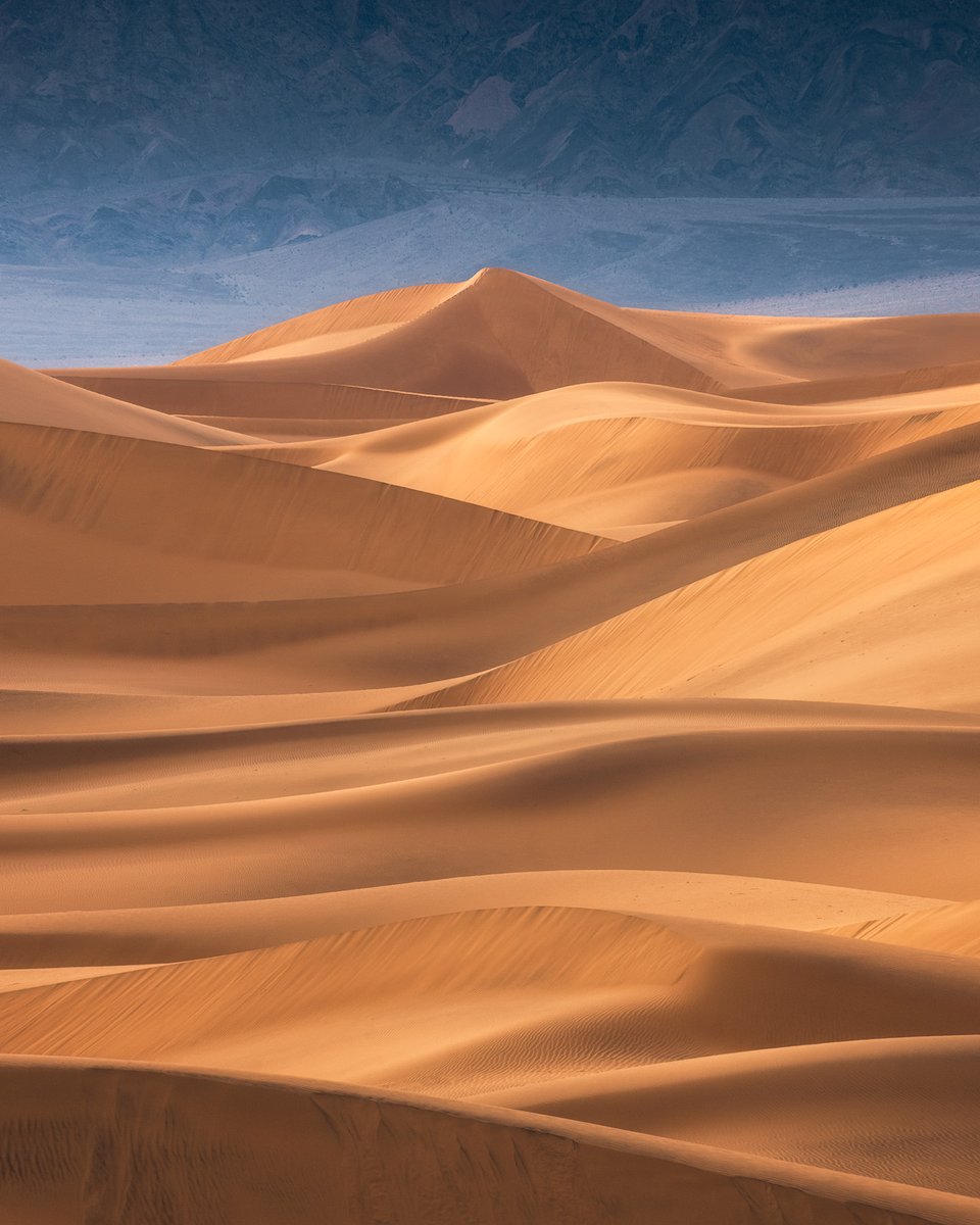 See how I capture my dune photography in my new landscape photography vlog. 📸youtube.com/watch?v=uZ4Y33…