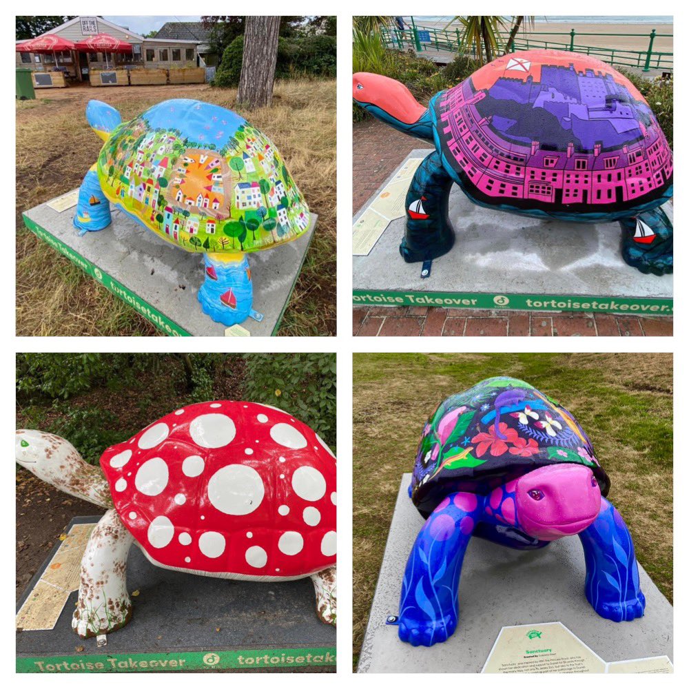 AnitaRolfe's tweet photo. This years PB - 101 #NHS1000miles this week (2222 YTD) @JerseyTortoises #TortoiseTakeover #GreveDeLecq #StOuen #StAubin #Corbiere #Corbiere #BonNuit #LaSaline #StHelier #StCatherinesBreakwater https://t.co/1WkQMJZhAv