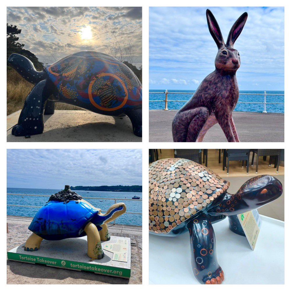 AnitaRolfe's tweet photo. This years PB - 101 #NHS1000miles this week (2222 YTD) @JerseyTortoises #TortoiseTakeover #GreveDeLecq #StOuen #StAubin #Corbiere #Corbiere #BonNuit #LaSaline #StHelier #StCatherinesBreakwater https://t.co/1WkQMJZhAv