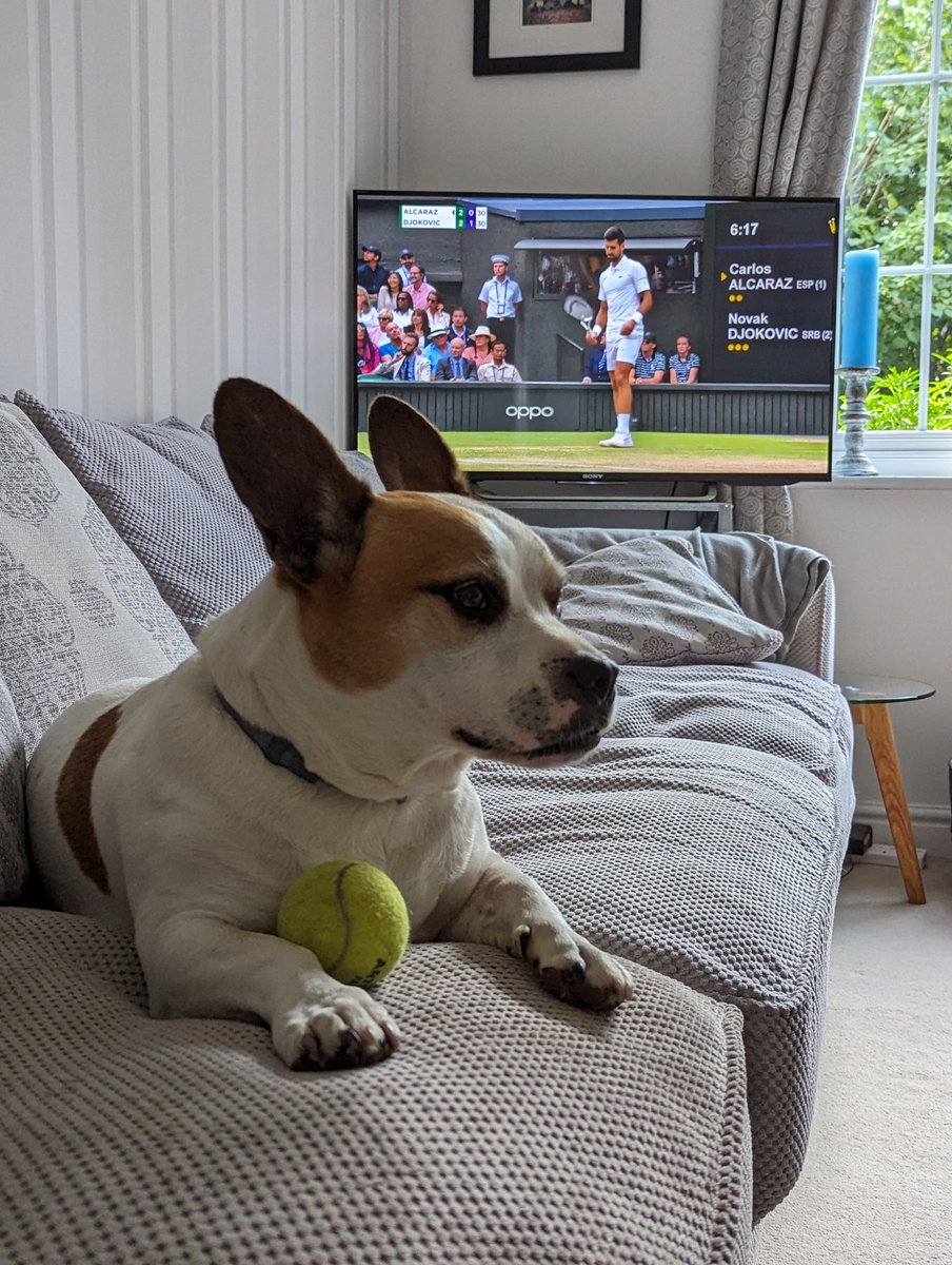 Otis - "anyone for 🎾?