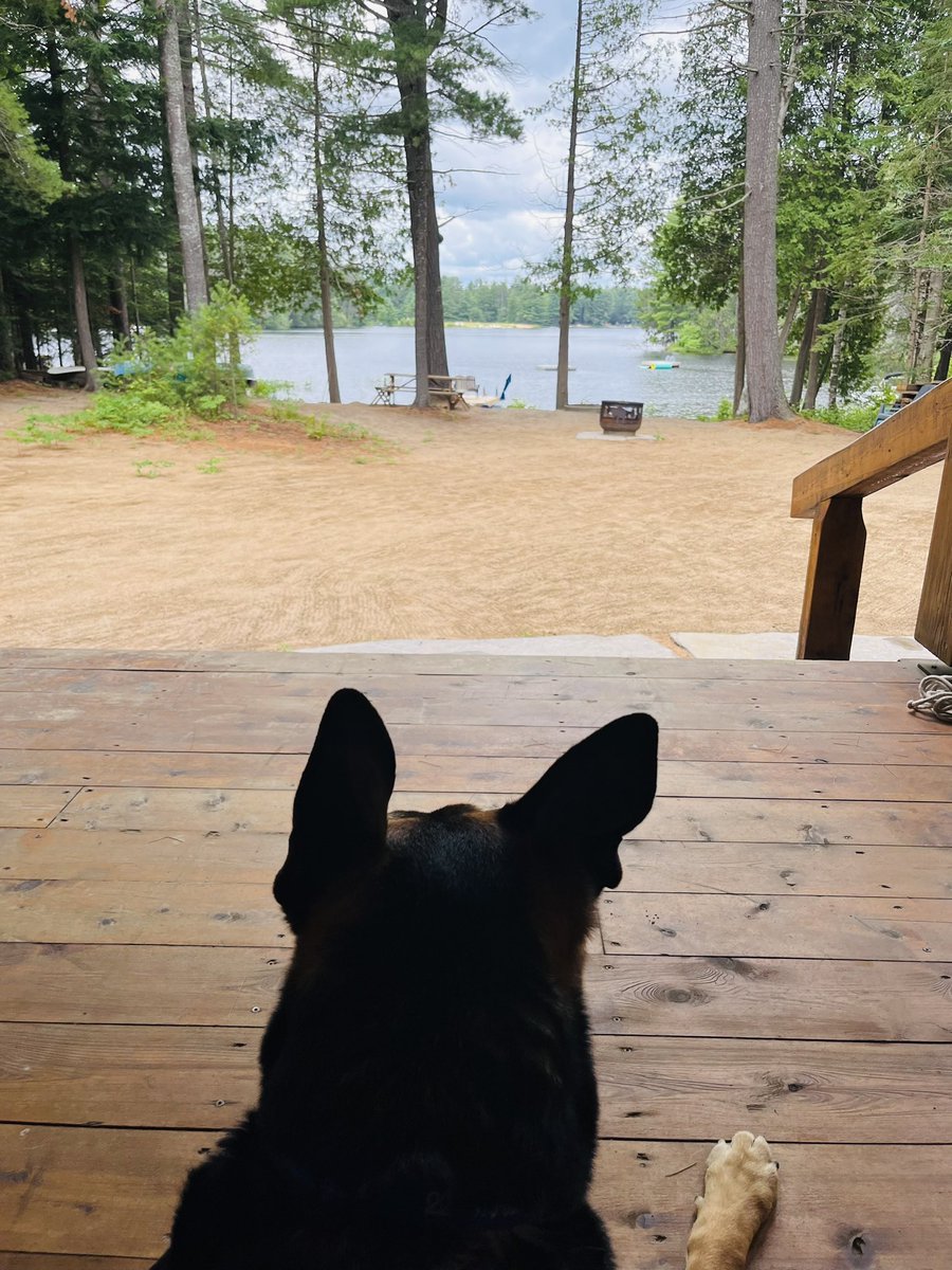 Cottage time 😍