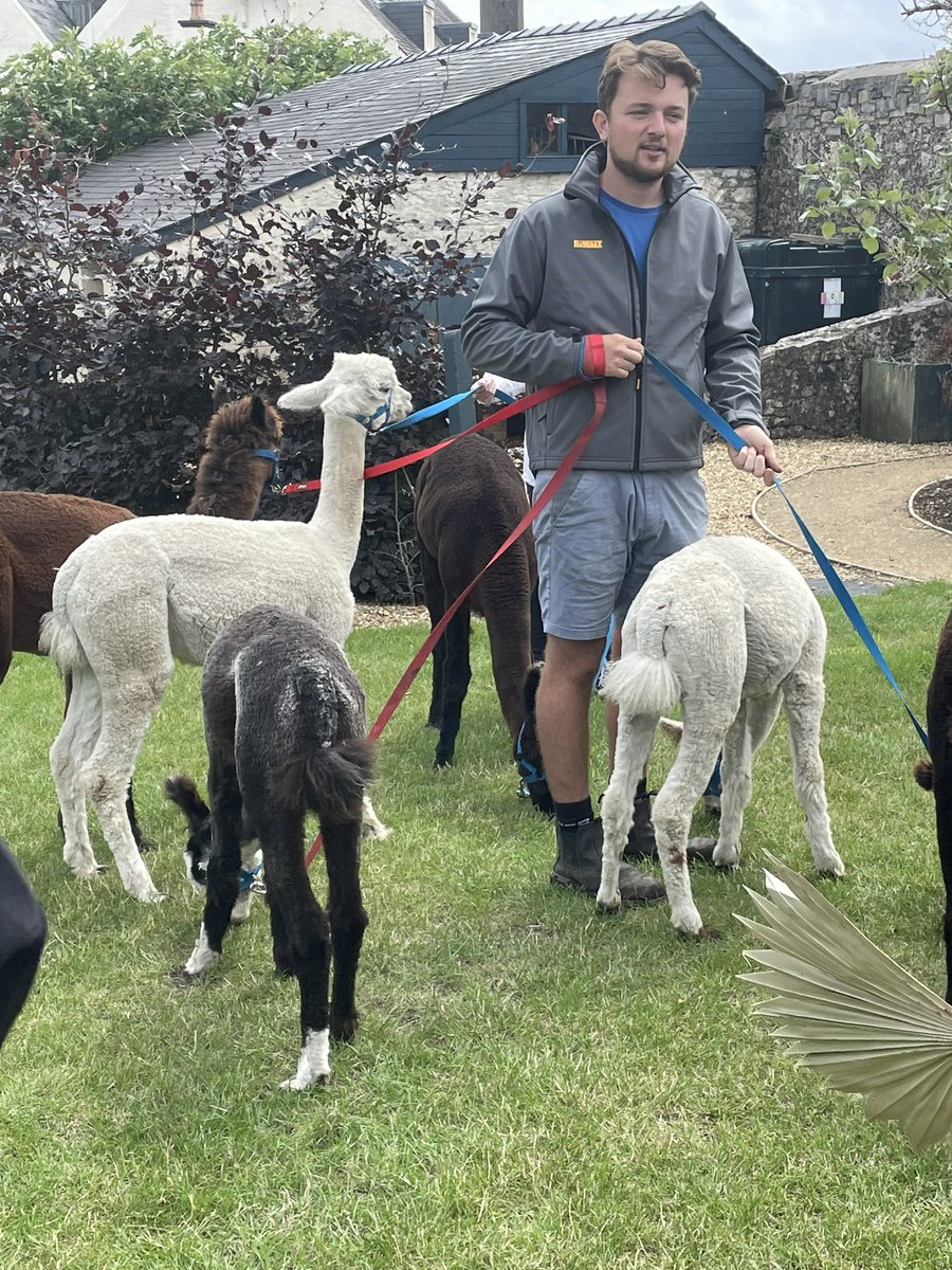 A fantastic Pilates retreat complete with an alpaca walk!  <a href="/GilestonManor/">Gileston.Manor</a> #relaxed #reset #restored