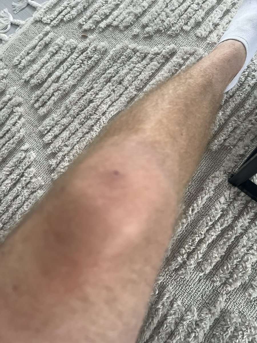 Dagi Dreyer tweet media