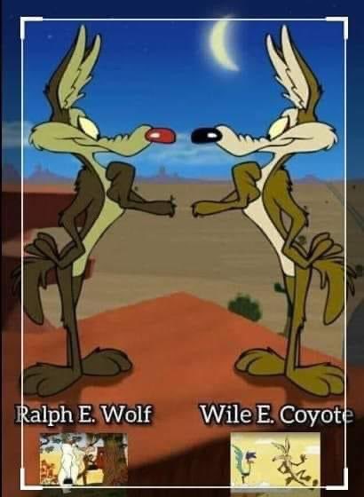 Sr_bogeyman's tweet photo. Ralph Wolf y Wile E. Coyote son 2 personajes diferentes, mientras que Ralph perseguía a las ovejas custodiadas por Sam el perro, Wile E. Coyote trataba de atrapar al Correcaminos. Ambos personajes fueron creados por Chuck Jones https://t.co/h7ZyMBYHWa