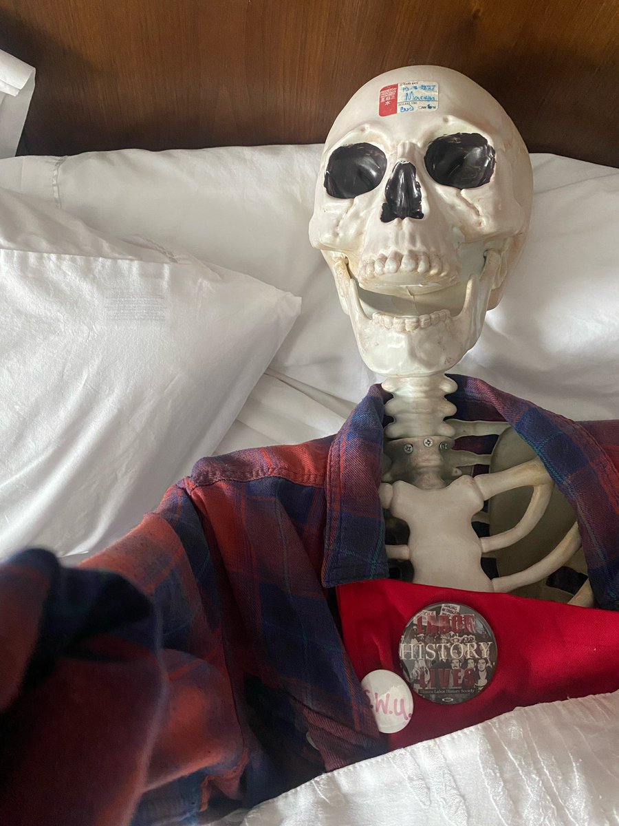 GreektownUnited's tweet photo. @CMRJB @ILLaborHistory @WorkersUnited @SBWorkersUnited @SBWUChicago @SEIU @SBWUKentuckiana Marvin got their beauty sleep and is ready for a day of solidarity! 😴 #TheUnionIsCalling https://t.co/gzwmyqpypq