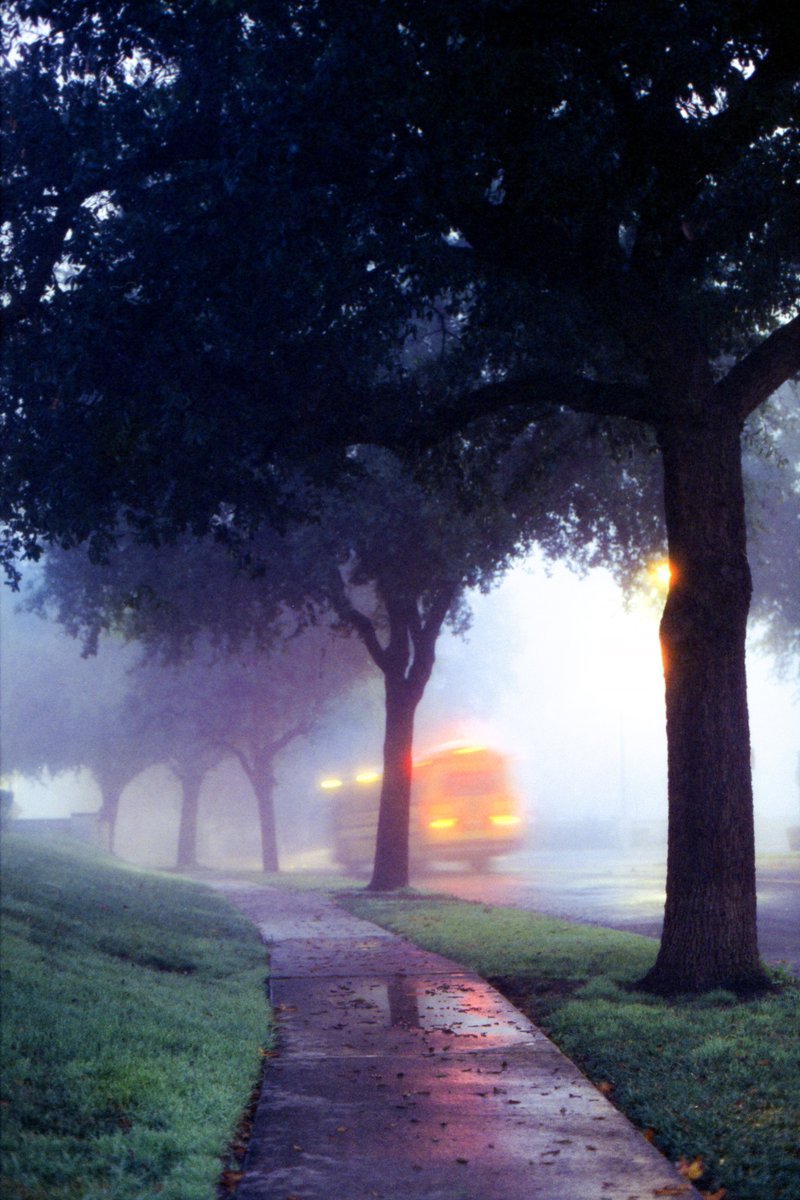 nick rufo on Twitter: 