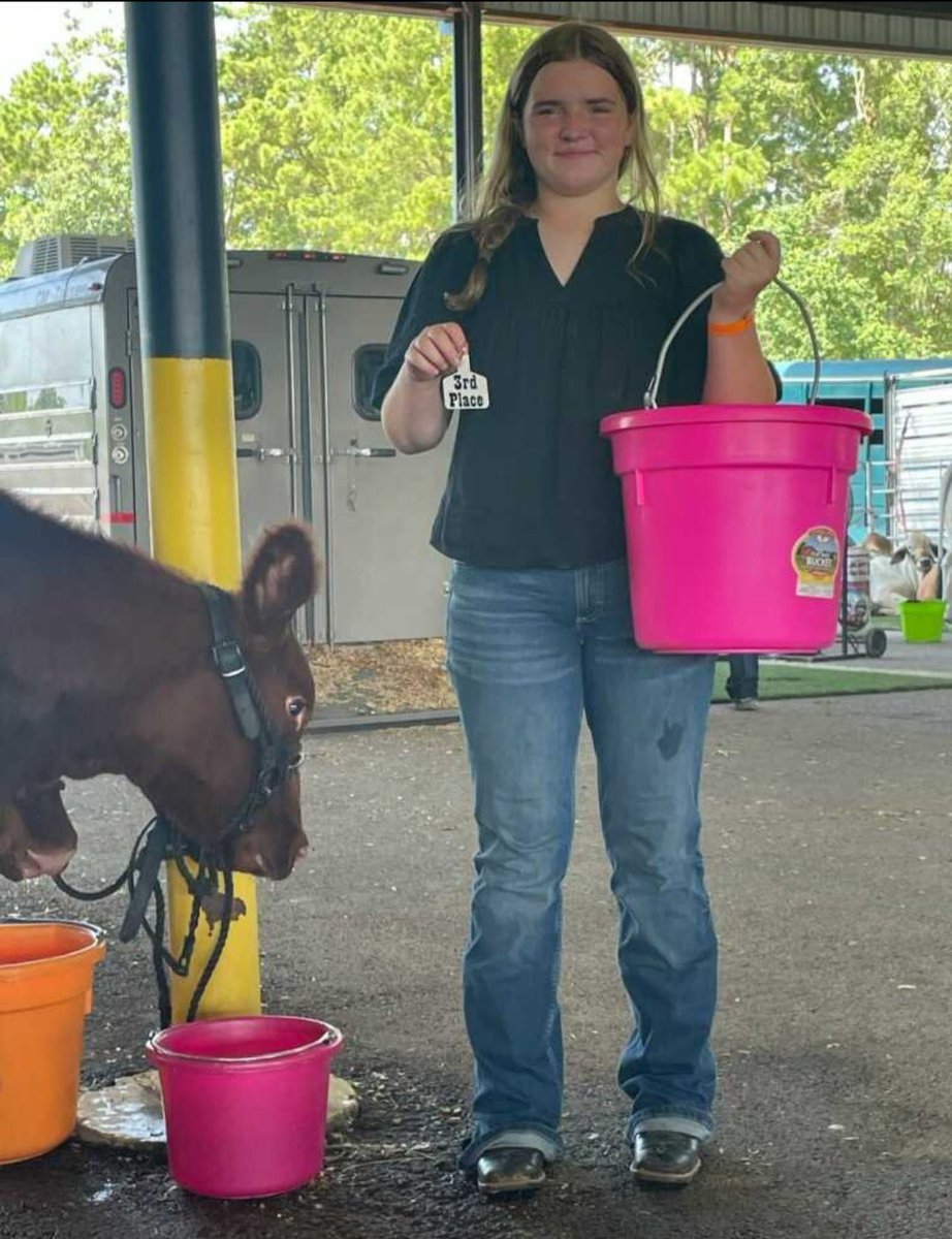 Conroe__FFA's tweet image. Kenna and Rosie had a great showing at the porter FFA progress show in New Caney. Kenna won reserve breed champion and Rosie came in with a respectable 3rd place finish.
