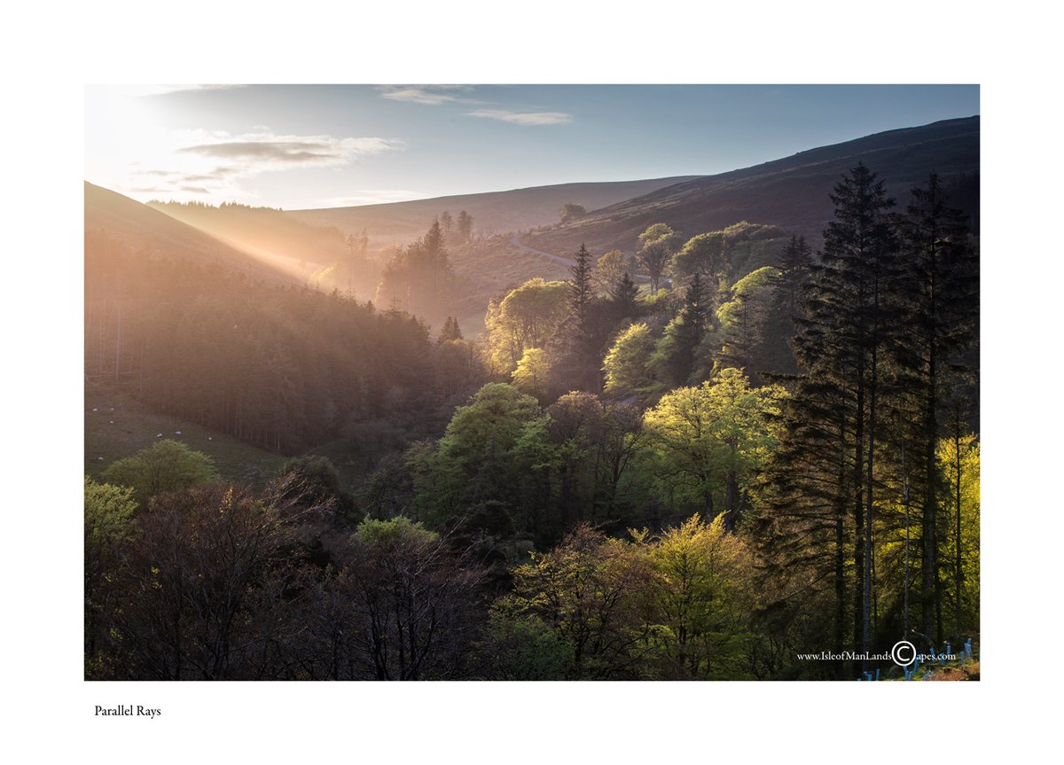 ColinBRussell's tweet photo. 'Parallel Rays' - the evening sunlight following the lie of the land and catching the trees at Injebreck. #IsleofManLandscapes #ManxNature
@visitisleofman @IOMTourismTrade @BiosphereIOM https://t.co/TJ026EaTPg