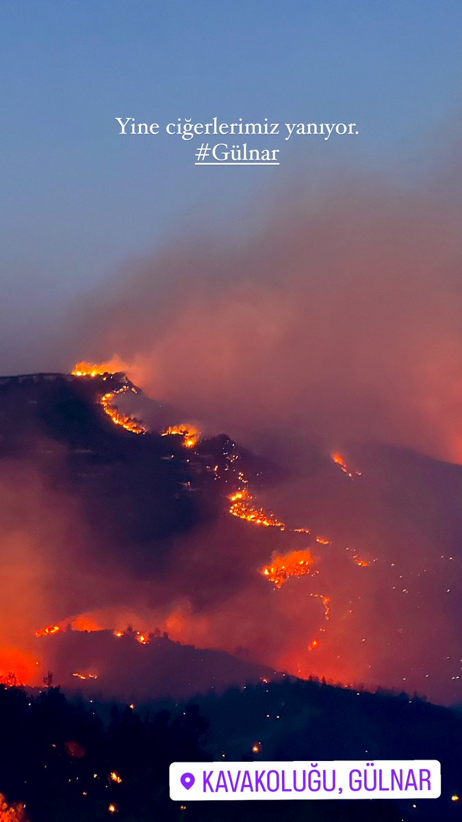 Mustafa GÜMÜŞ tweet media