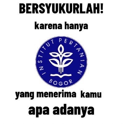 moominball's tweet image. helloww IPB 60, mutualan yuk! 

pls rt tweet ini yaa!