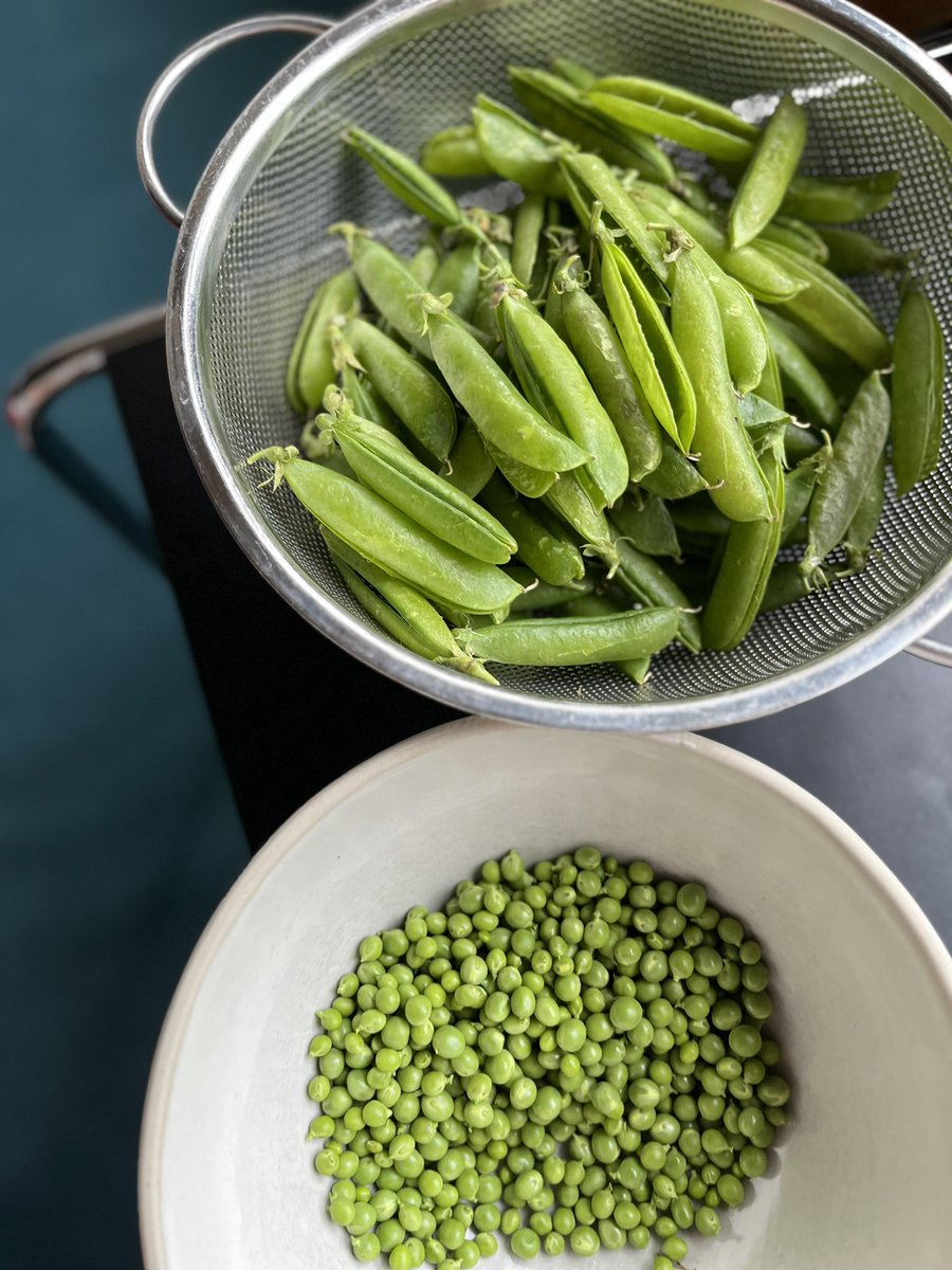 Jeremy Lee tweet media