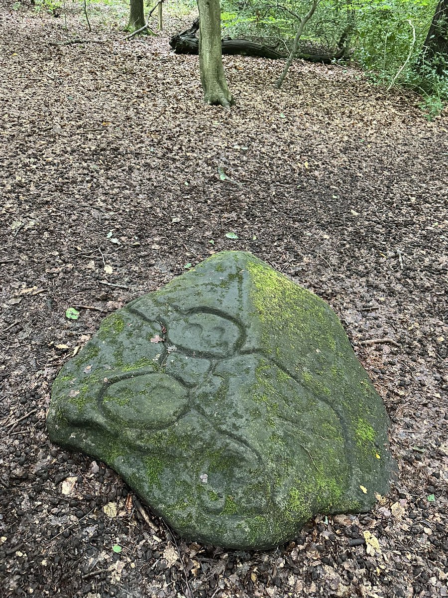 magic_goats's tweet photo. @the_stone_club Bronze age stone carving Ecclesall  Woods, Sheffield today https://t.co/XkUPoQDaK7