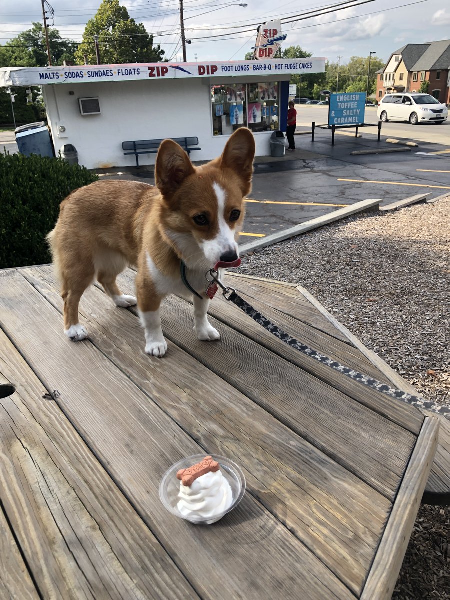 Jeffrey Ross Photo tweet media