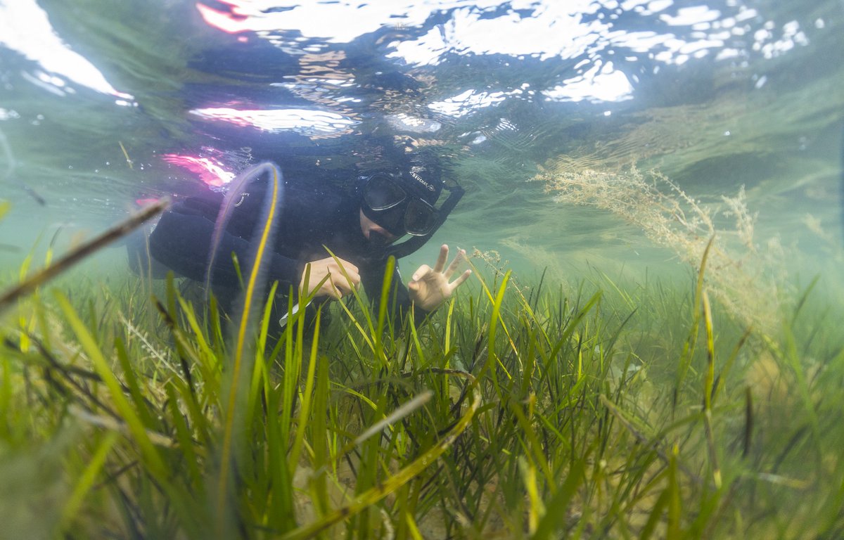 Laura Fantuzzi tweet media