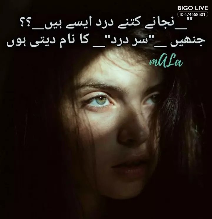 AzAlishba50860's tweet photo. @SF_740 @k_g4646 Wallah 🥹 https://t.co/7mU2b5hAoV