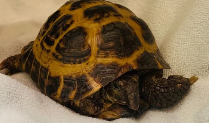 Appeal -  can you help Norman? To see his story and donate please visit the link here:
gofund.me/ce6f0975