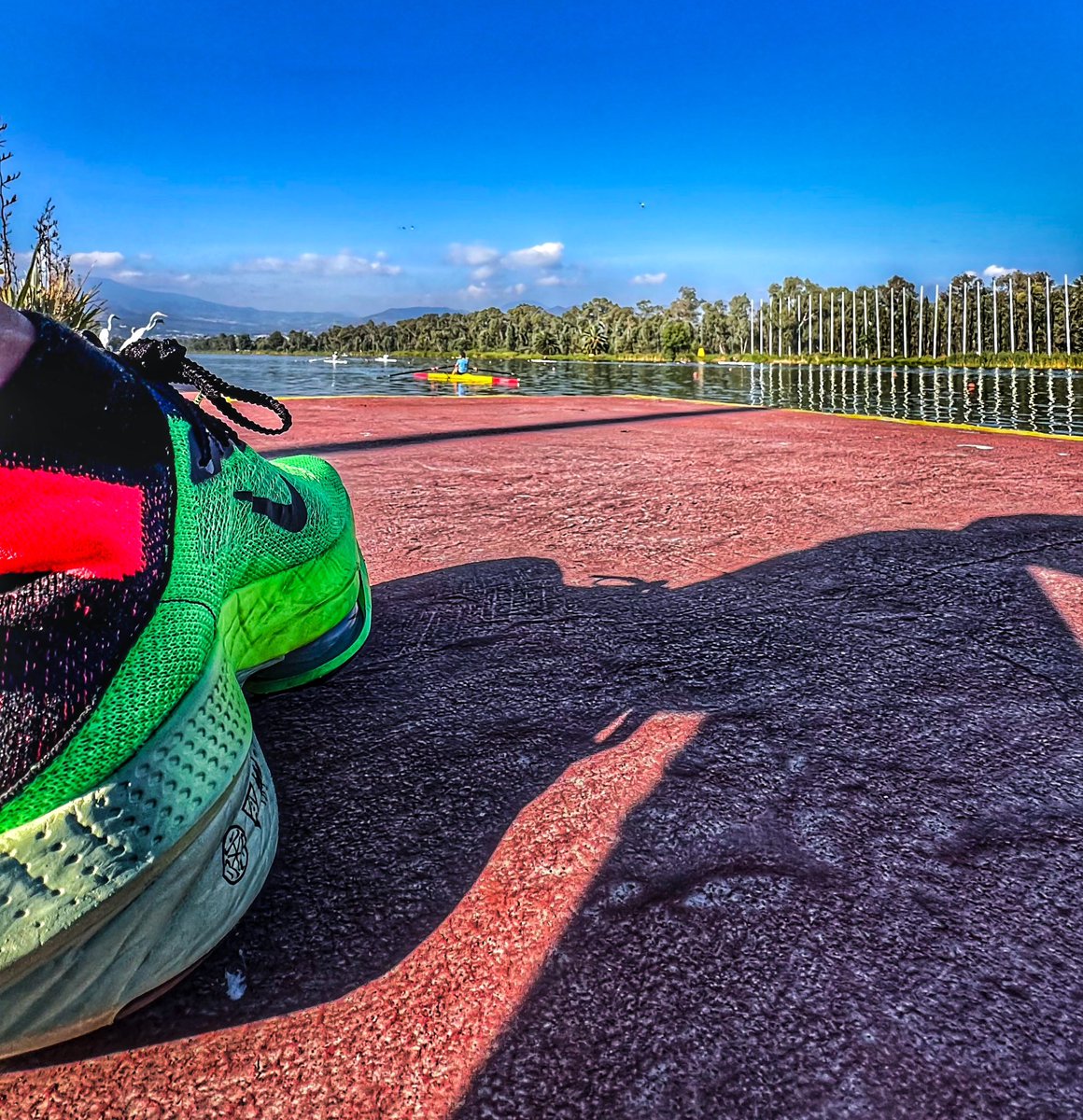 jedi_alex666's tweet photo. No hay mal que no cure unos cuantos kilómetros @Nike #alphaflynext2 #alphafly #running #nike @nikestore #nikerunning https://t.co/qJD9FMPc8a