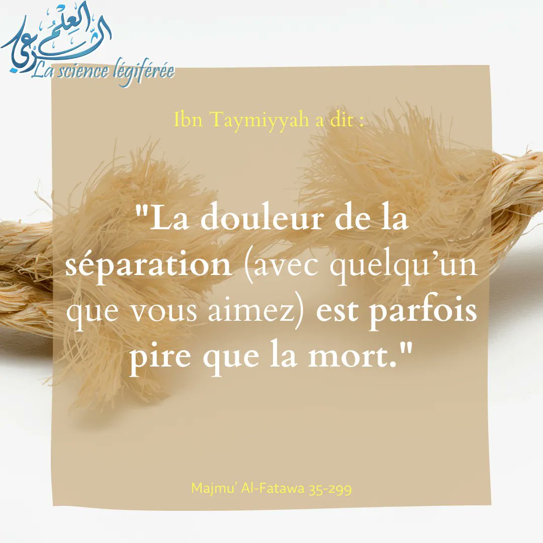 3ilmchar3i's tweet photo. 🍂La douleur de la séparation https://t.co/M0NSS3IVXC