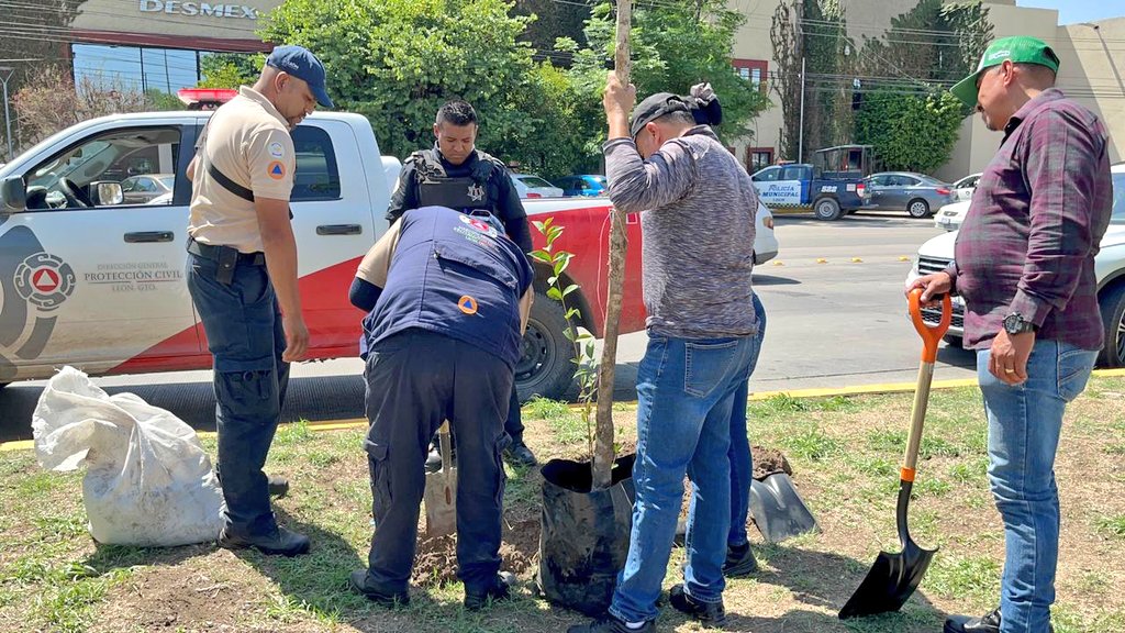 Seguridad_Leon's tweet photo. Tener un mejor ambiente es tarea de todas y todos, por eso nos sumamos a la #ForestaciónCiudadana 2023 por un #LeónMásVerde.
Cadetes, policías, policías viales, personal de @Proteccion_leon, Prevención del Delito y más se suman a esta campaña. https://t.co/H3qIAguedX