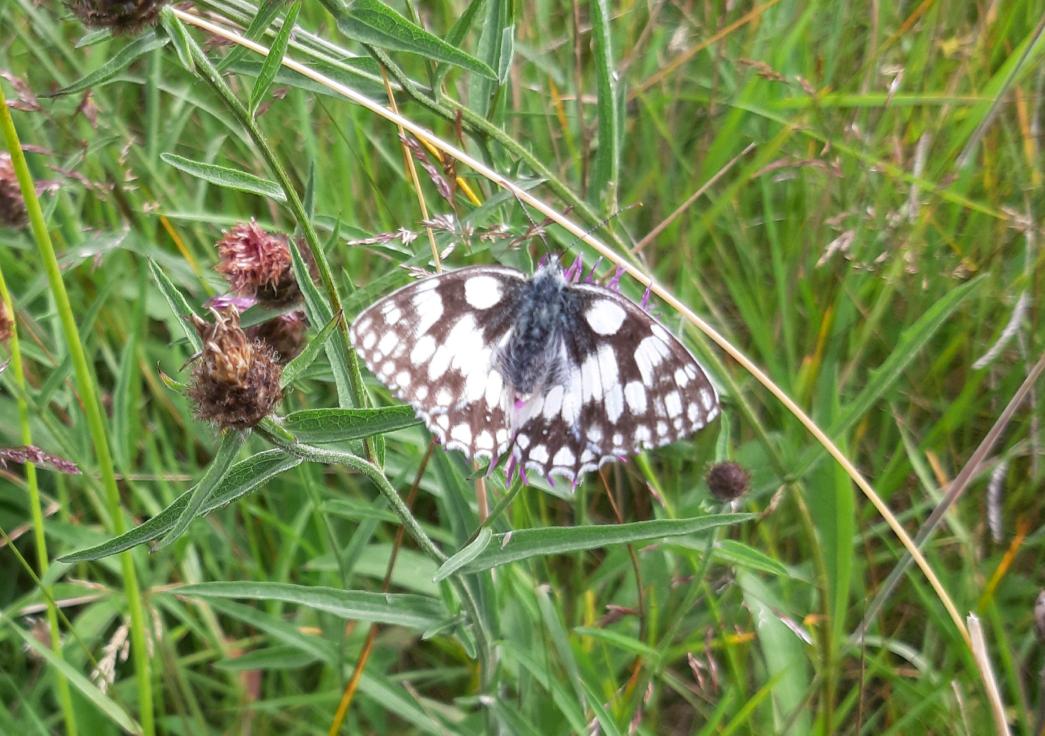 Janet Mee tweet media