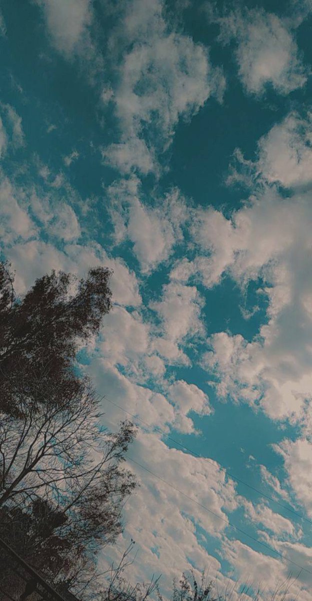 میان استخوان های خرد شده ایم 
اما ،
«امید تقلا می‌کند برای روییدن»