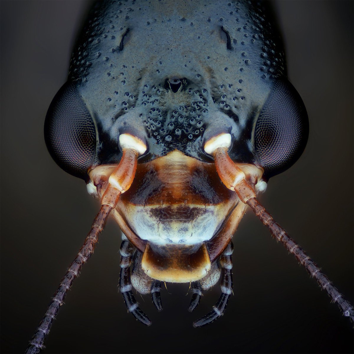 Thorben Danke tweet media