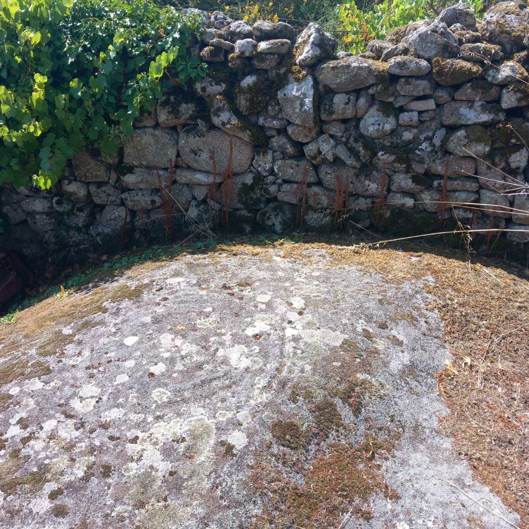 paulaverao's tweet photo. Un paseo por #Proendos 👣 #petroglifos dos Lagos e do Xestal 🤳 https://t.co/pGNpd4Qw9c