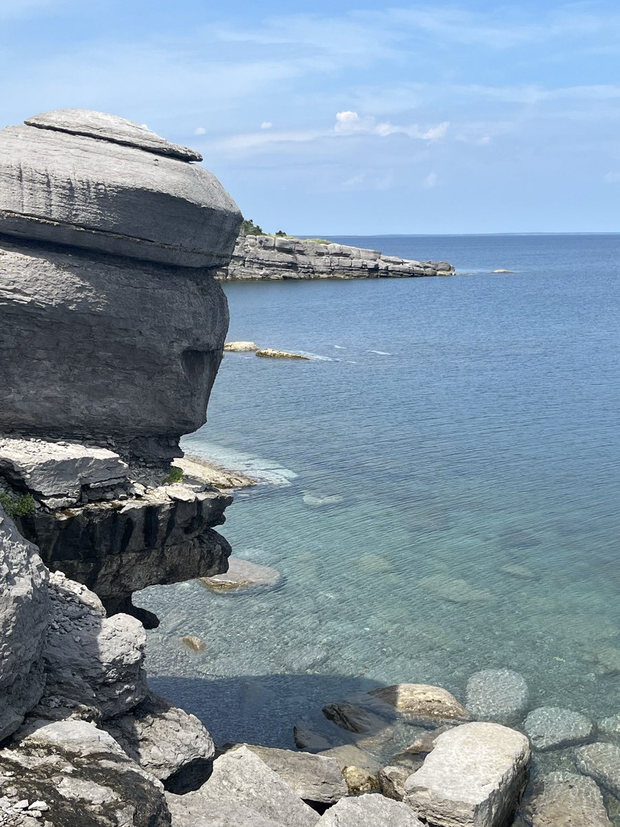 Dee Boyd (She/ Her) tweet media