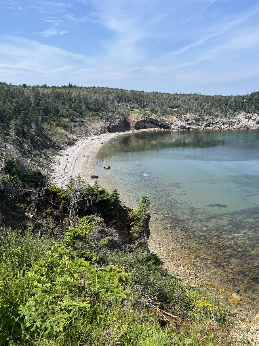 Dee Boyd (She/ Her) tweet media