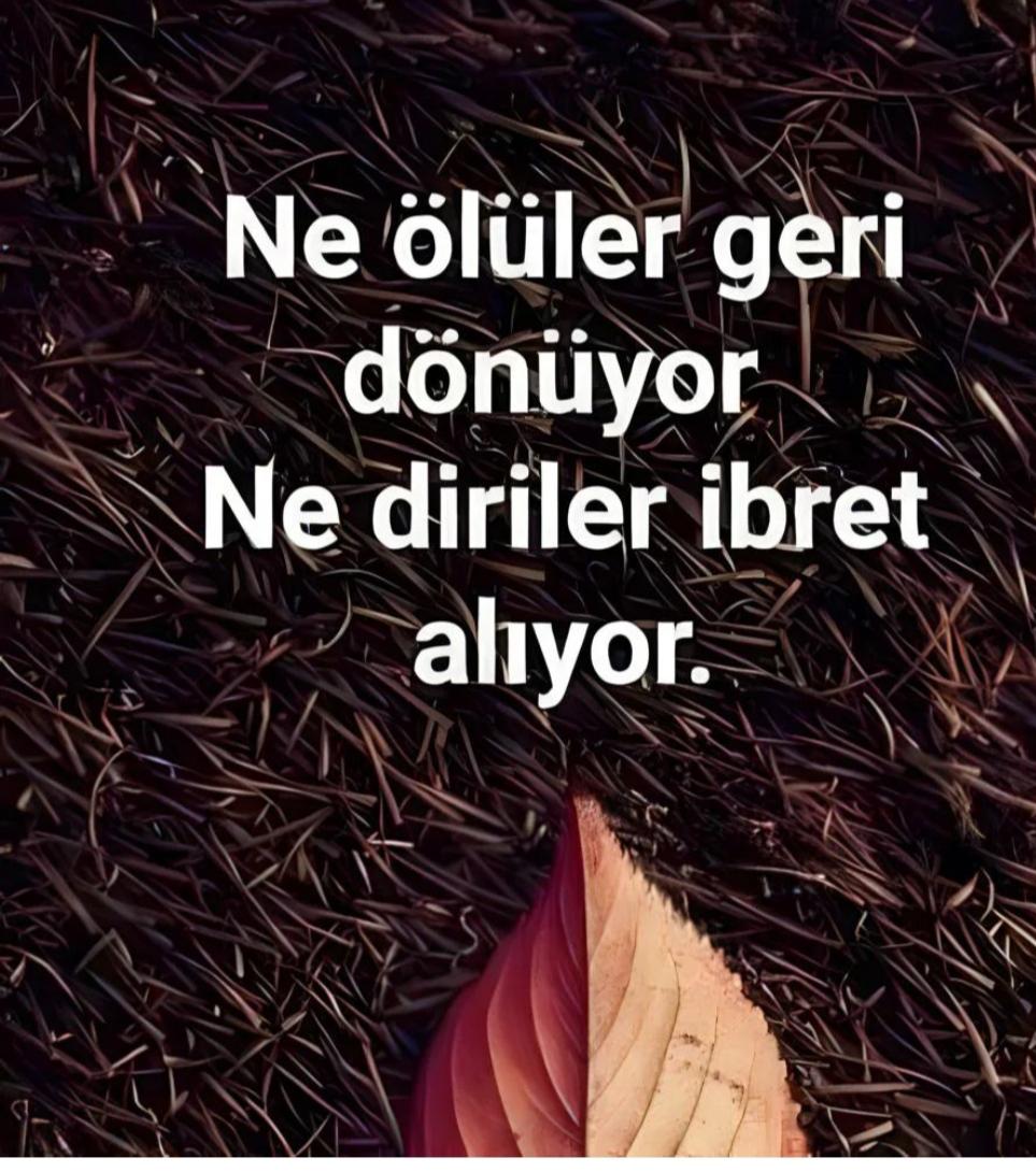 GildirIdiris's tweet photo. https://t.co/BYijpDYVO0