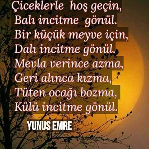 GildirIdiris's tweet photo. https://t.co/YmhZFFU61y