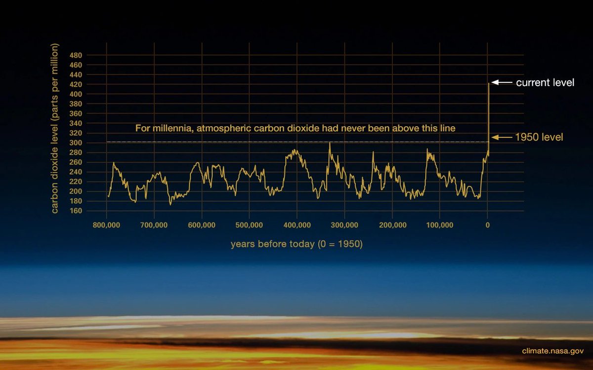 Miriam Hardarson 🏳️‍⚧️🌈 tweet media